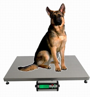 Veterinární váha TCS-D do 200kg/50g, 600x900mm